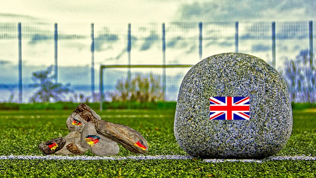 在近日的一 在近日的一