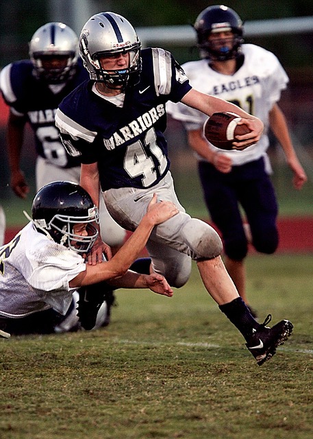 羊仍保持着 羊仍保持着