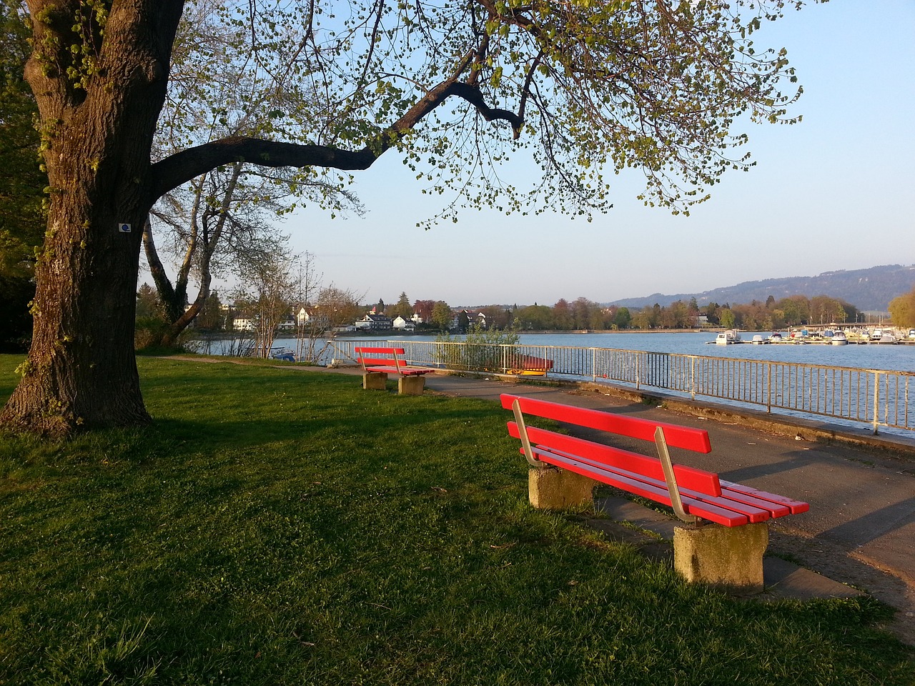 但他用顽强 但他用顽强