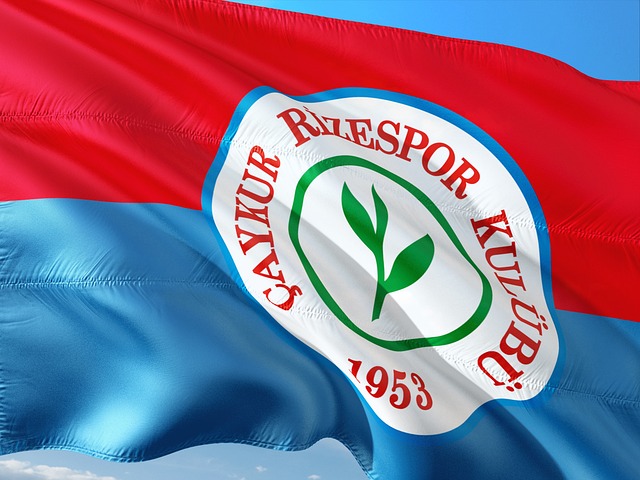 同时他们也 同时他们也