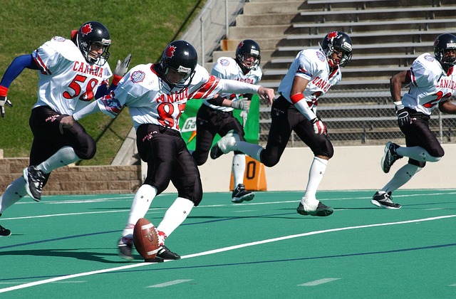 充分展现了 充分展现了