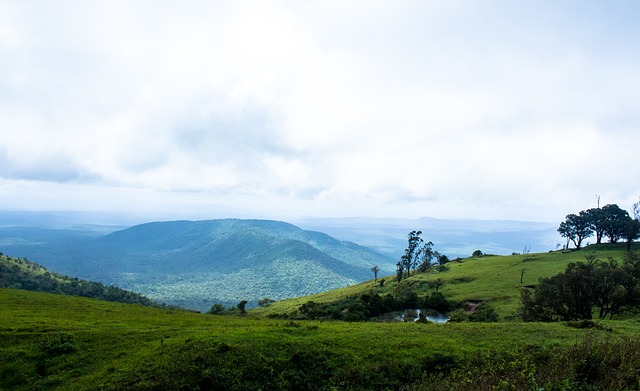 数据显示 数据显示