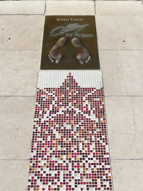 球运动发展 球运动发展