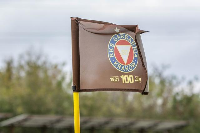 她的經歷卻 她的經歷卻