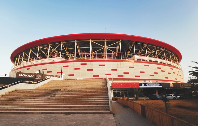 如果年轻人 如果年轻人